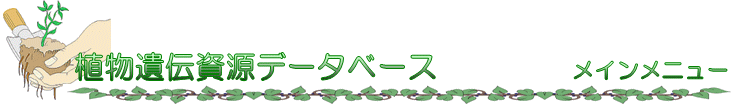 ʪ񸻥ǡ١ ᥤ˥塼
